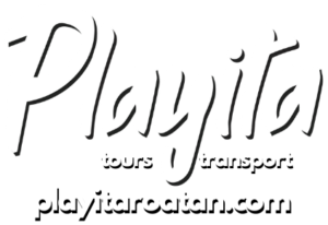 Playita Roatan Logo